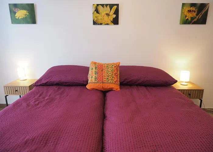 Renove Apartamento *